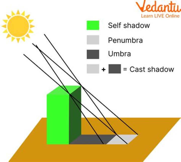 A Journey Into Shadows And Power
