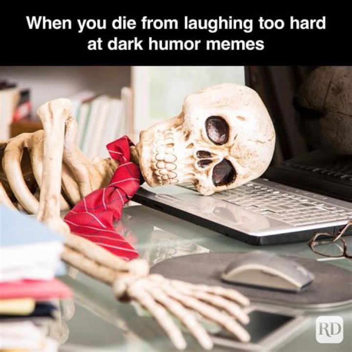 A Journey Of Relatable Humor And Social Commentary