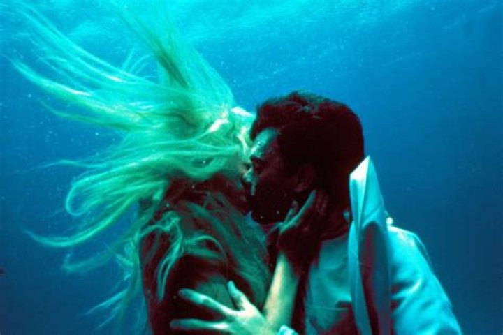 Did Tom Hanks become a mermaid in Splash? Celebrity.fm #1 Official Stars, Business & People ·