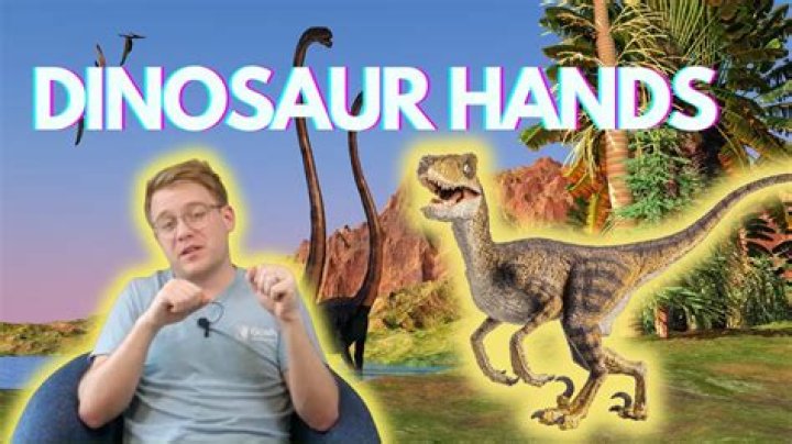 Dinosaur Hands ADHD: Practical Strategies For Improvement