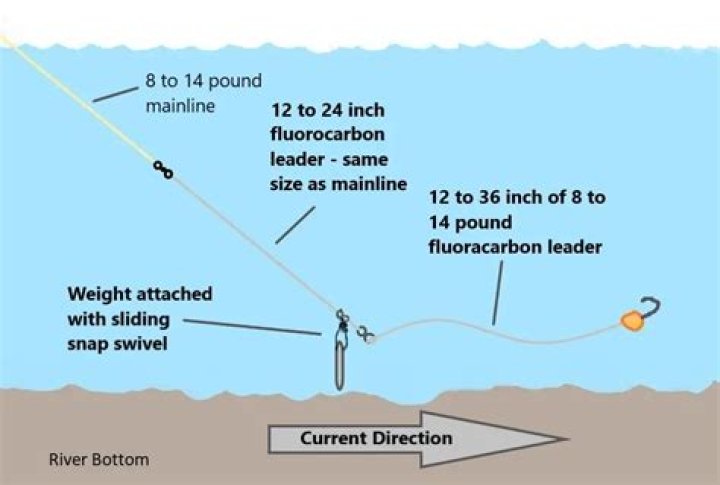 How To Catch Trout Like A Pro