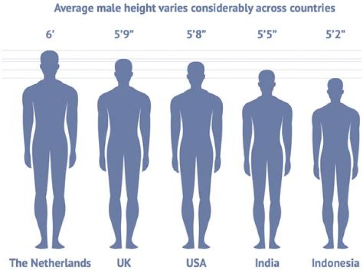 Understanding The Importance Of Height In Human Society